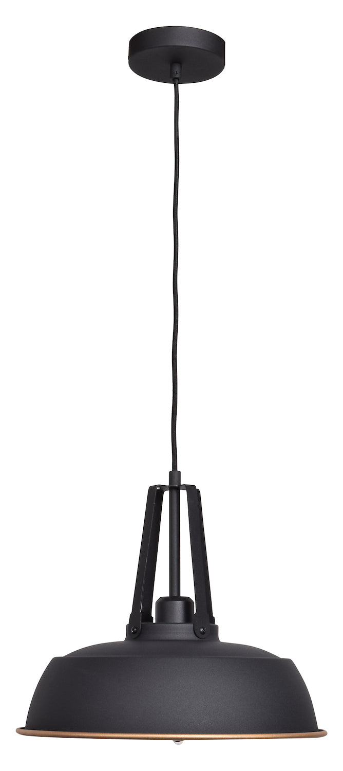 1-Light Pendant by Access