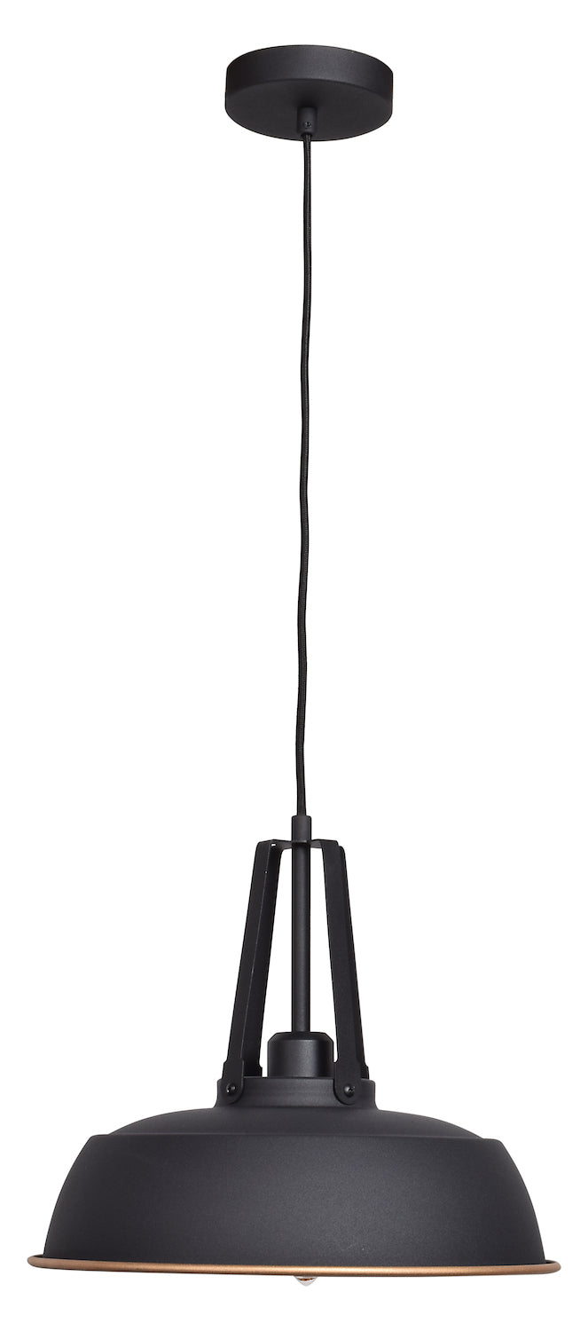1-Light Pendant