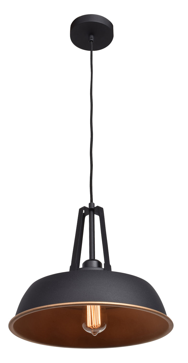 1-Light Pendant