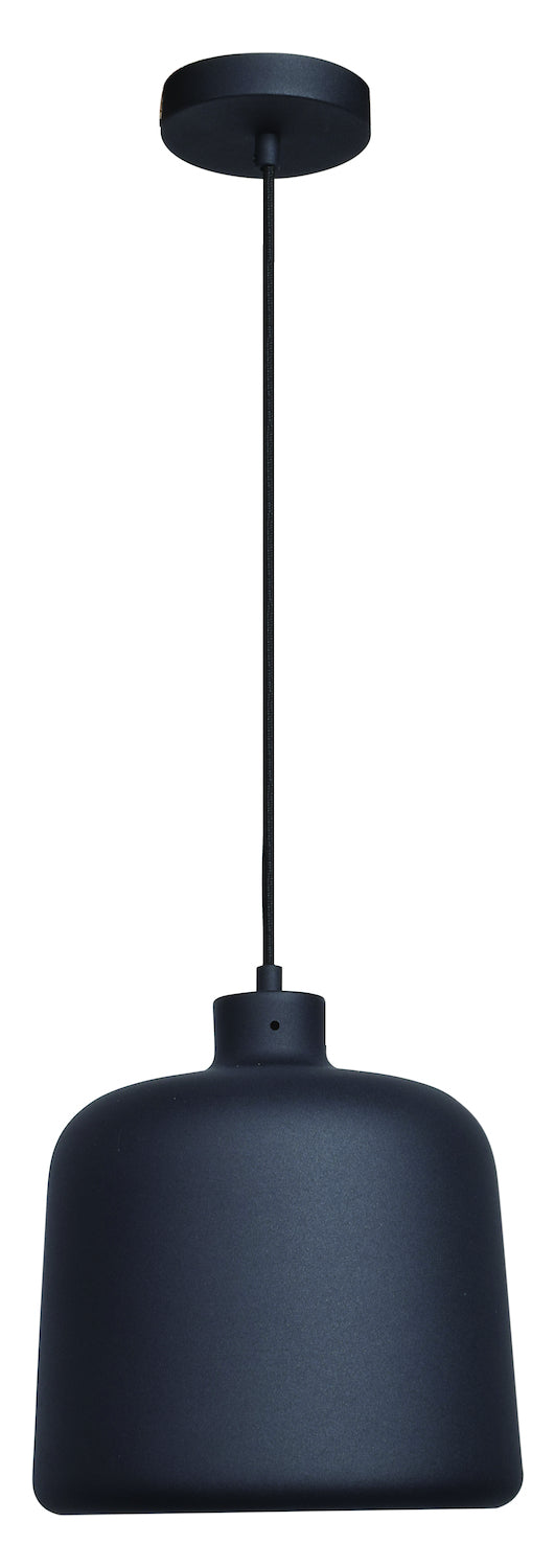 1-Light Pendant by Access