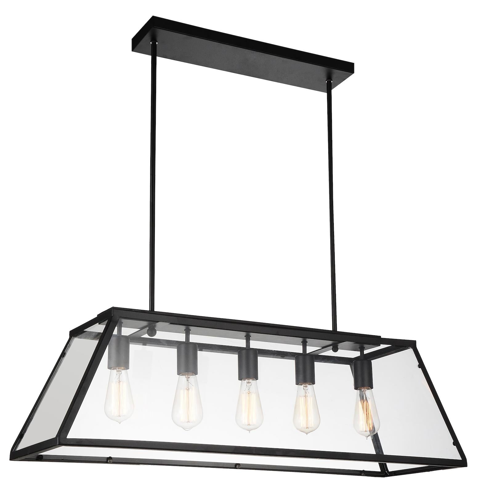 5 Light Down Chandelier With Black Finish by CWI Lighting