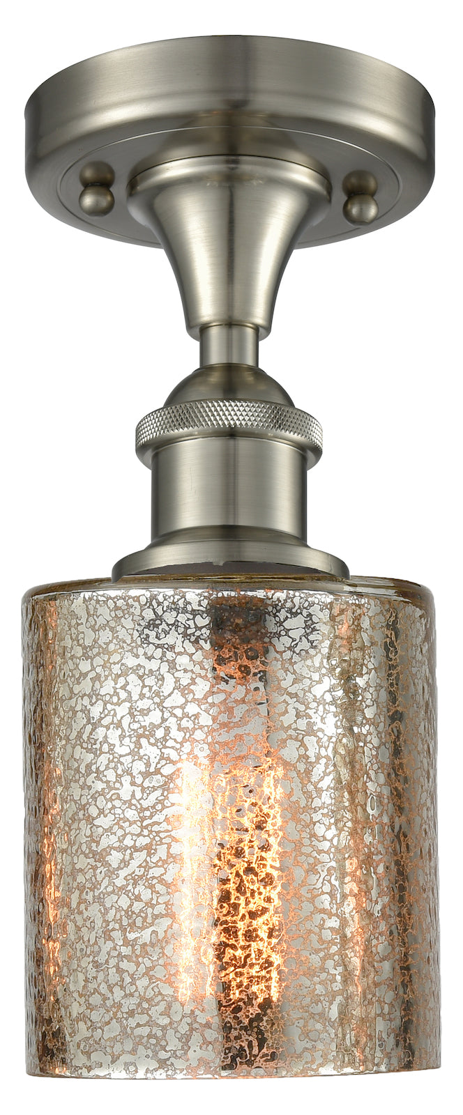 1 Light Vintage Dimmable Led Semi-Flush Mount by Innovations Lighting