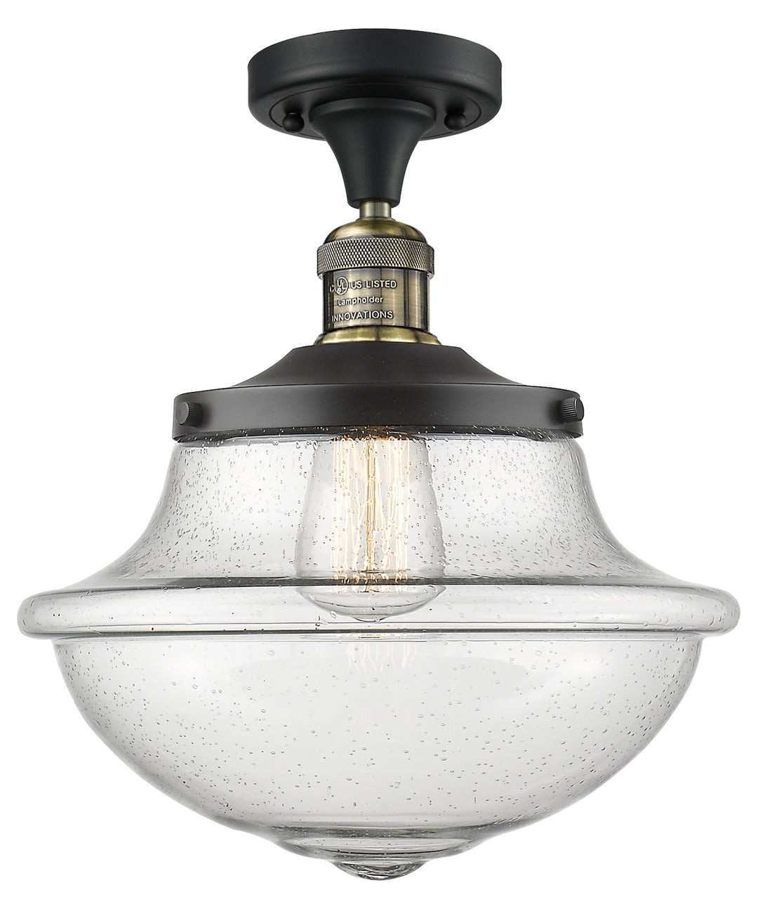 1 Light Semi-Flush Mount