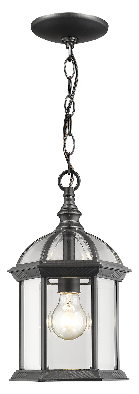 Single Light 8in Wide Outdoor Mini Pendant W/ Clear Beveled Glass Panels by Z-Lite