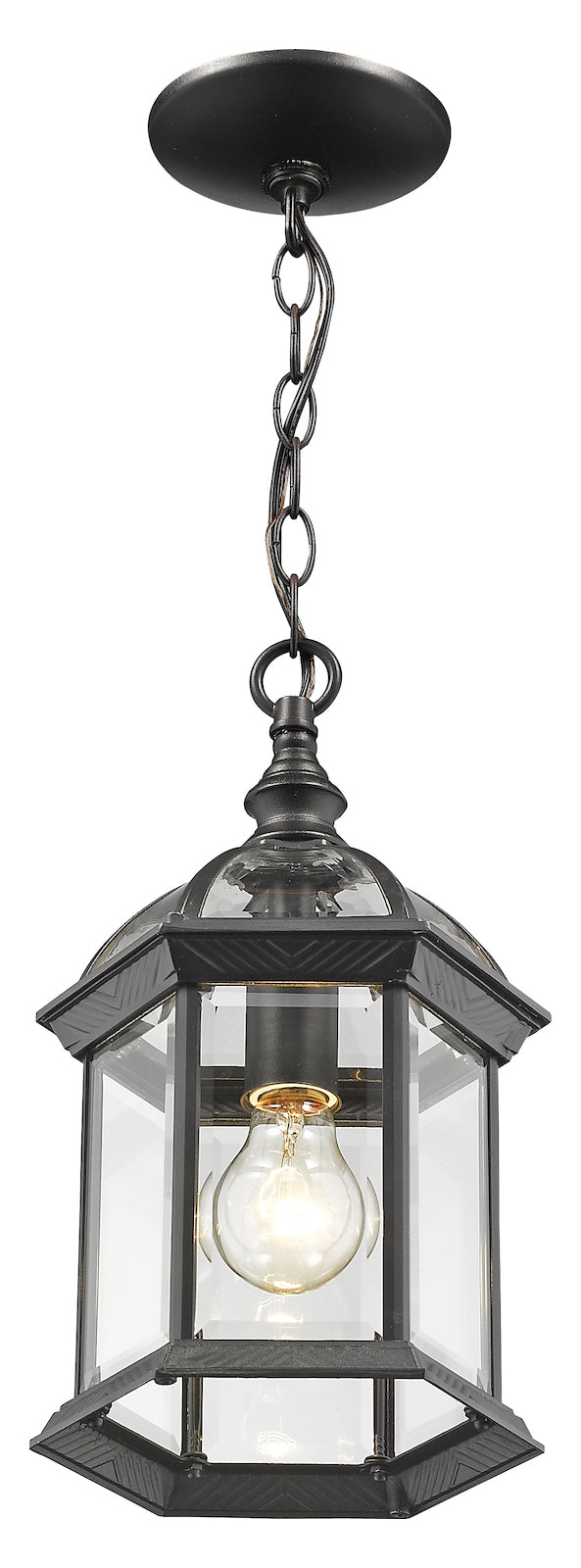 Single Light 8in Wide Outdoor Mini Pendant W/ Clear Beveled Glass Panels