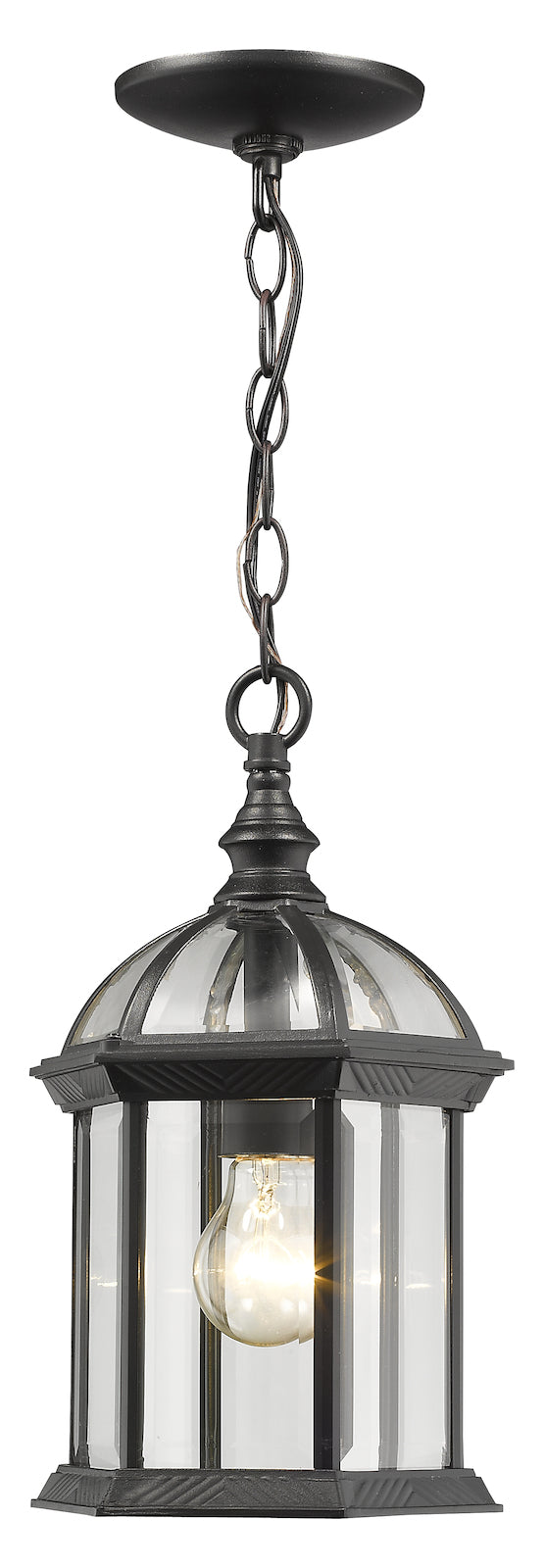 Single Light 8in Wide Outdoor Mini Pendant W/ Clear Beveled Glass Panels