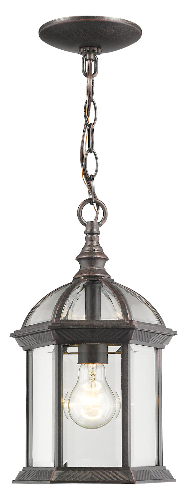 Single Light 8in Wide Outdoor Mini Pendant W/ Clear Beveled Glass Panels by Z-Lite