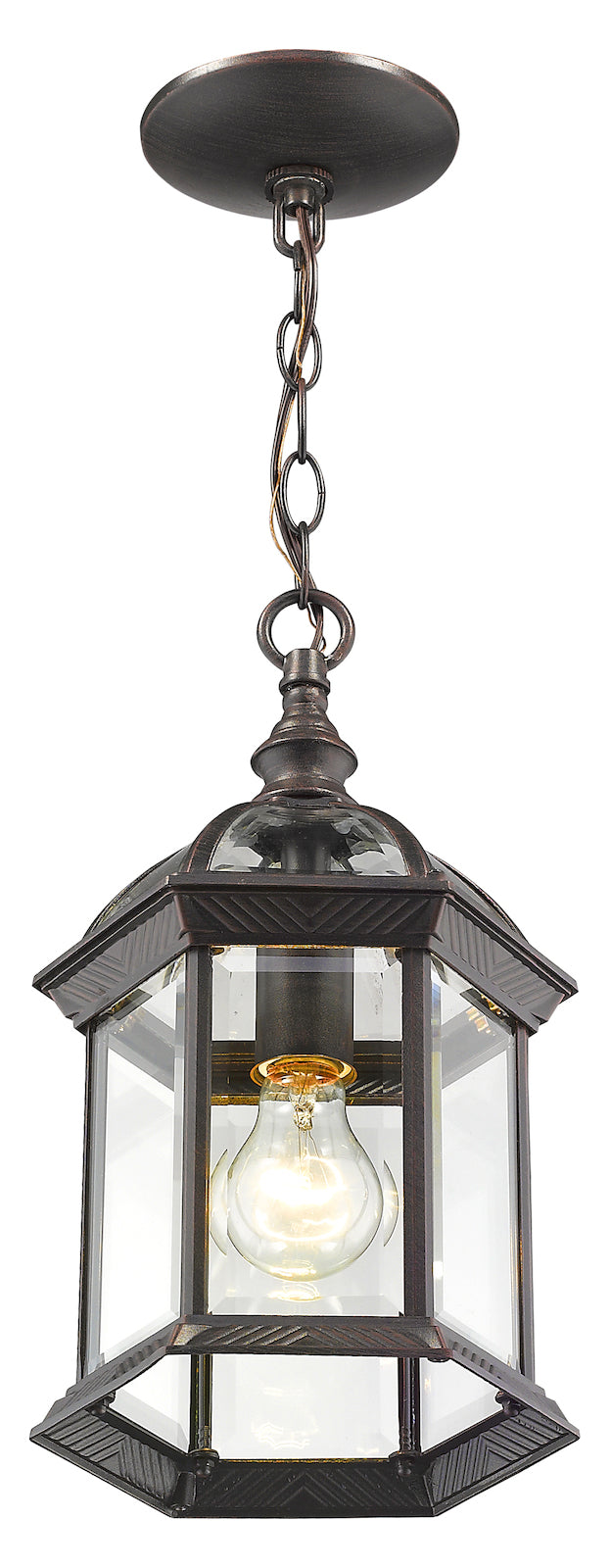 Single Light 8in Wide Outdoor Mini Pendant W/ Clear Beveled Glass Panels