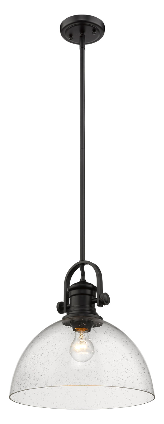 1 Light Pendant
