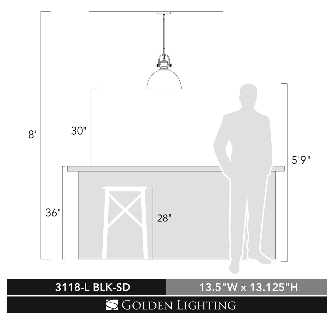1 Light Pendant