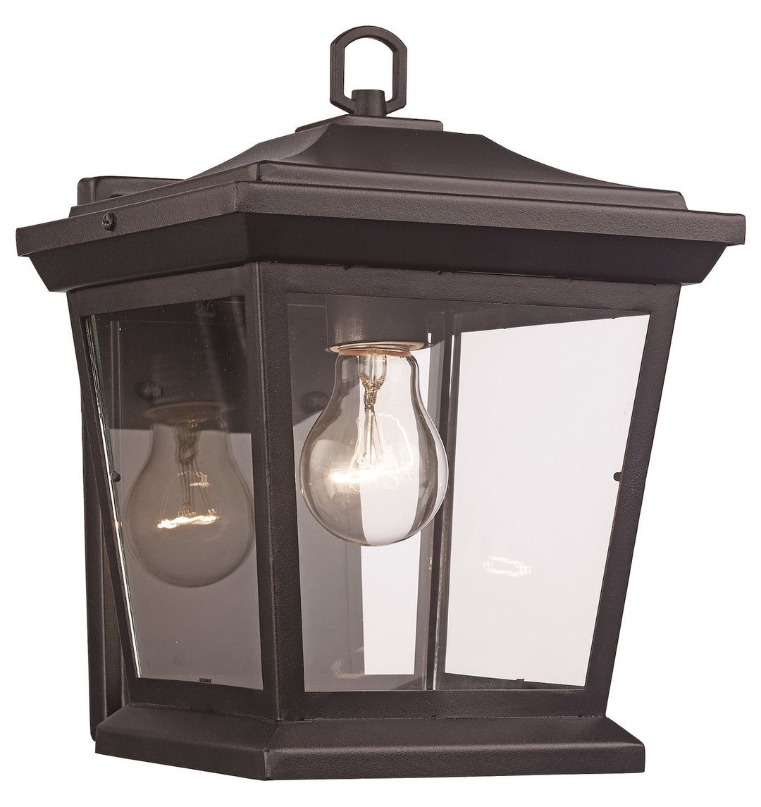 1Lt Outd Wall Lantern Torch Sm by Trans Globe