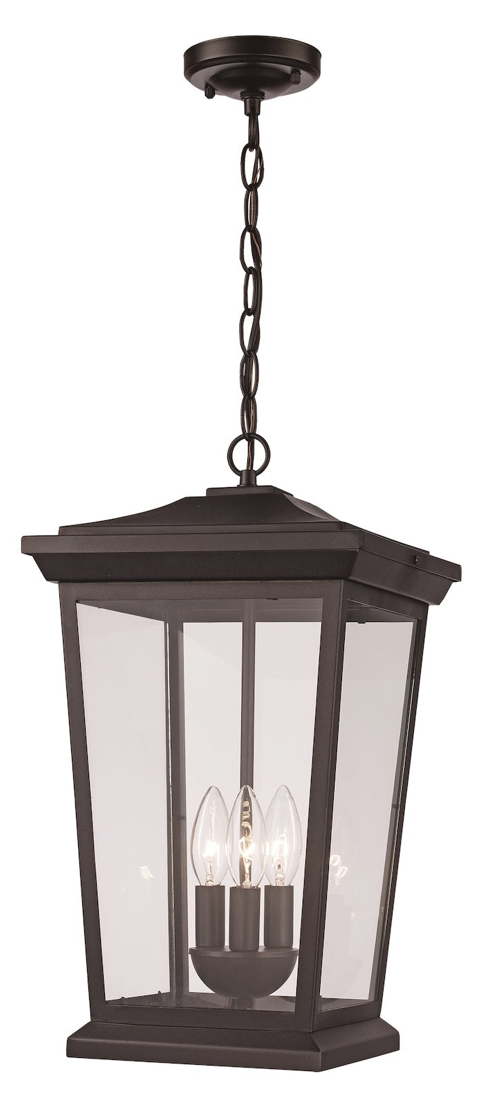 1Lt Outd Hang Lantern Torch Lr by Trans Globe