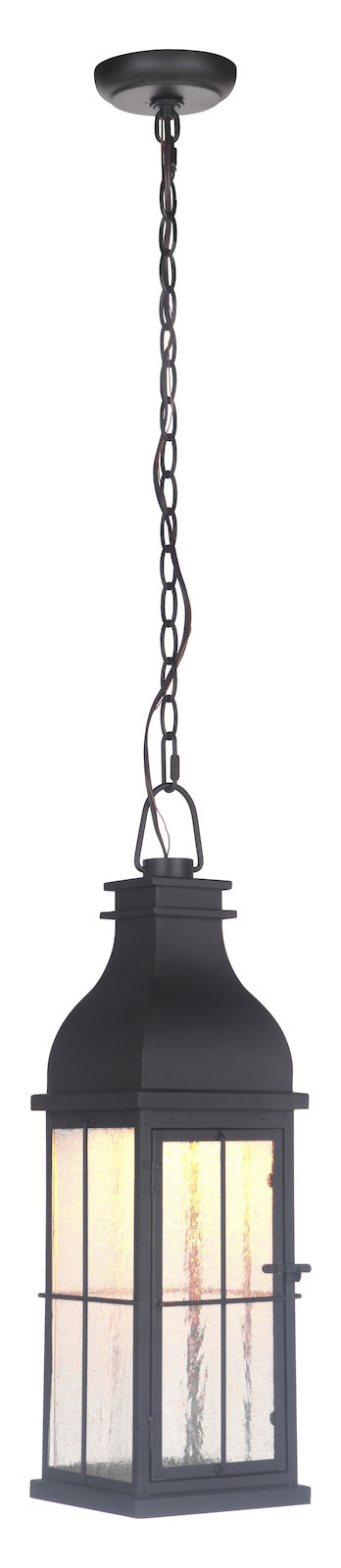 1 Light Medium LED Outdoor Pendant in Midnight