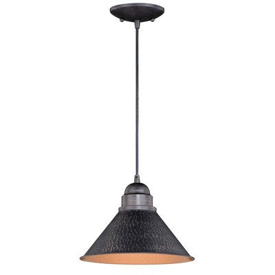 10-in Outdoor Pendant Light Aged Iron and Light Gold by Vaxcel International