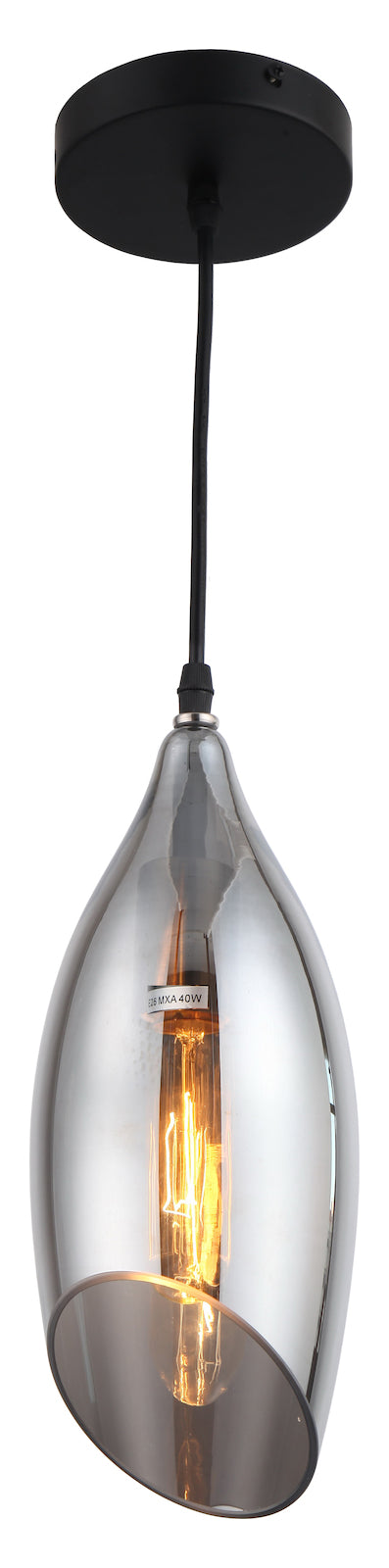 1Lt Incandescent Pendant Blk Finish W/Smoke Glass by Dainolite