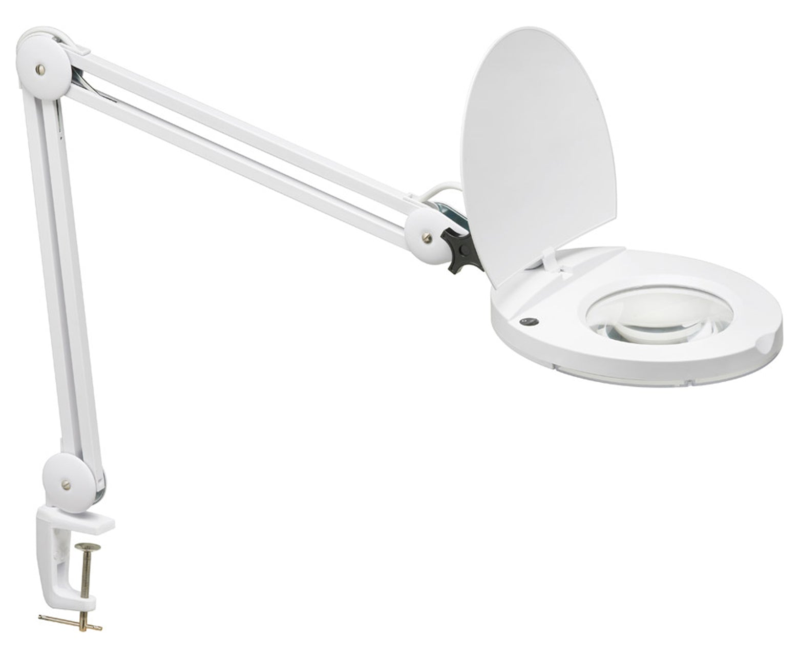 1-Light 47 Inch Table Lamp by Dainolite