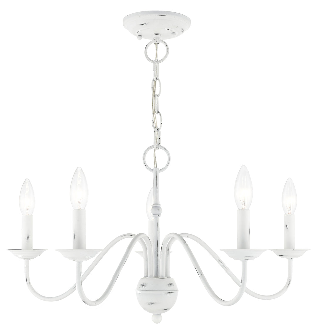 5 Light Chandelier by Livex Lighting