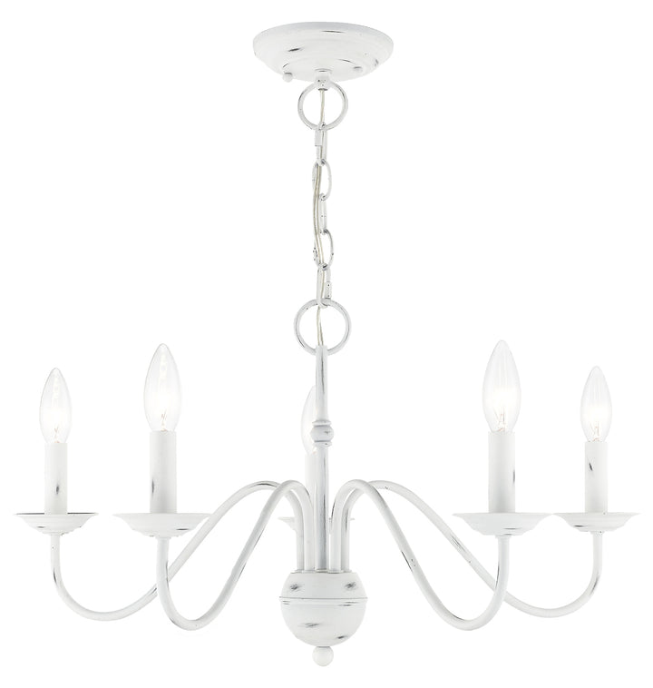 5 Light Chandelier by Livex Lighting