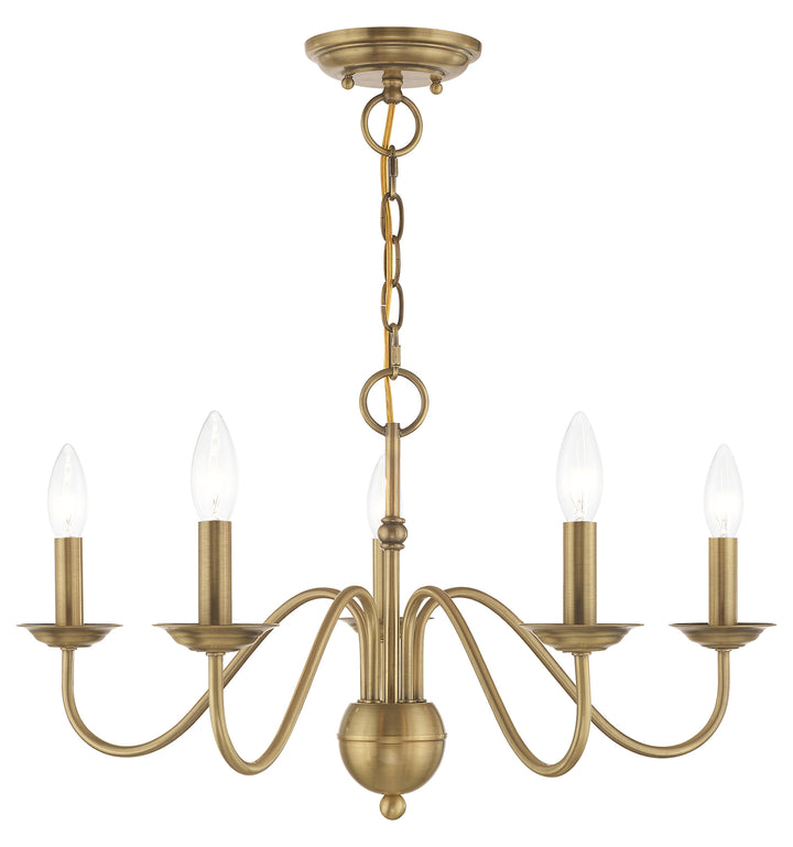 5 Light Chandelier by Livex Lighting