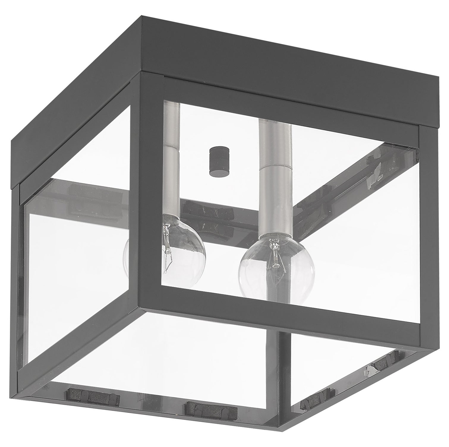 8 Inch 2 Light Ceiling Mount