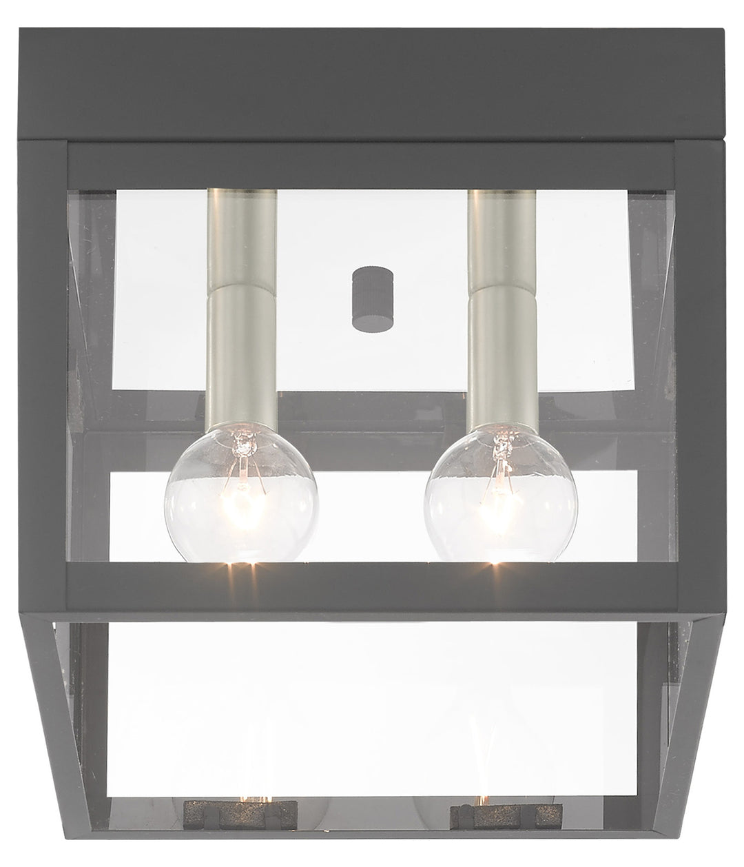 8 Inch 2 Light Ceiling Mount