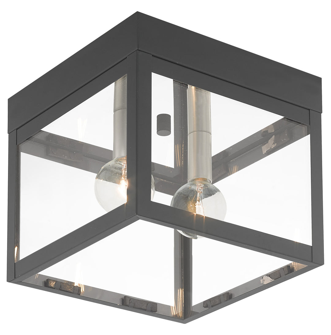 8 Inch 2 Light Ceiling Mount