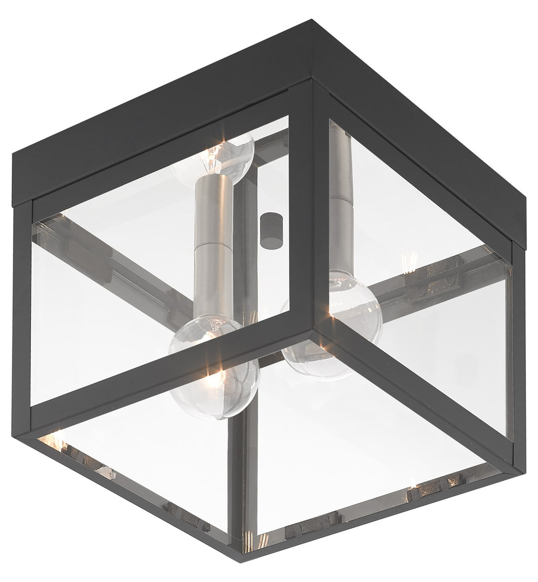 8 Inch 2 Light Ceiling Mount