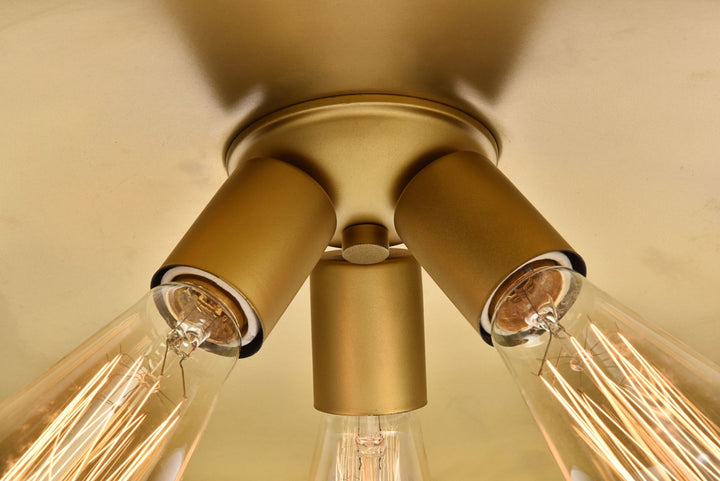 Collection Chandelier D20.5 H6.5 Lt:3 Black and Brass Finish