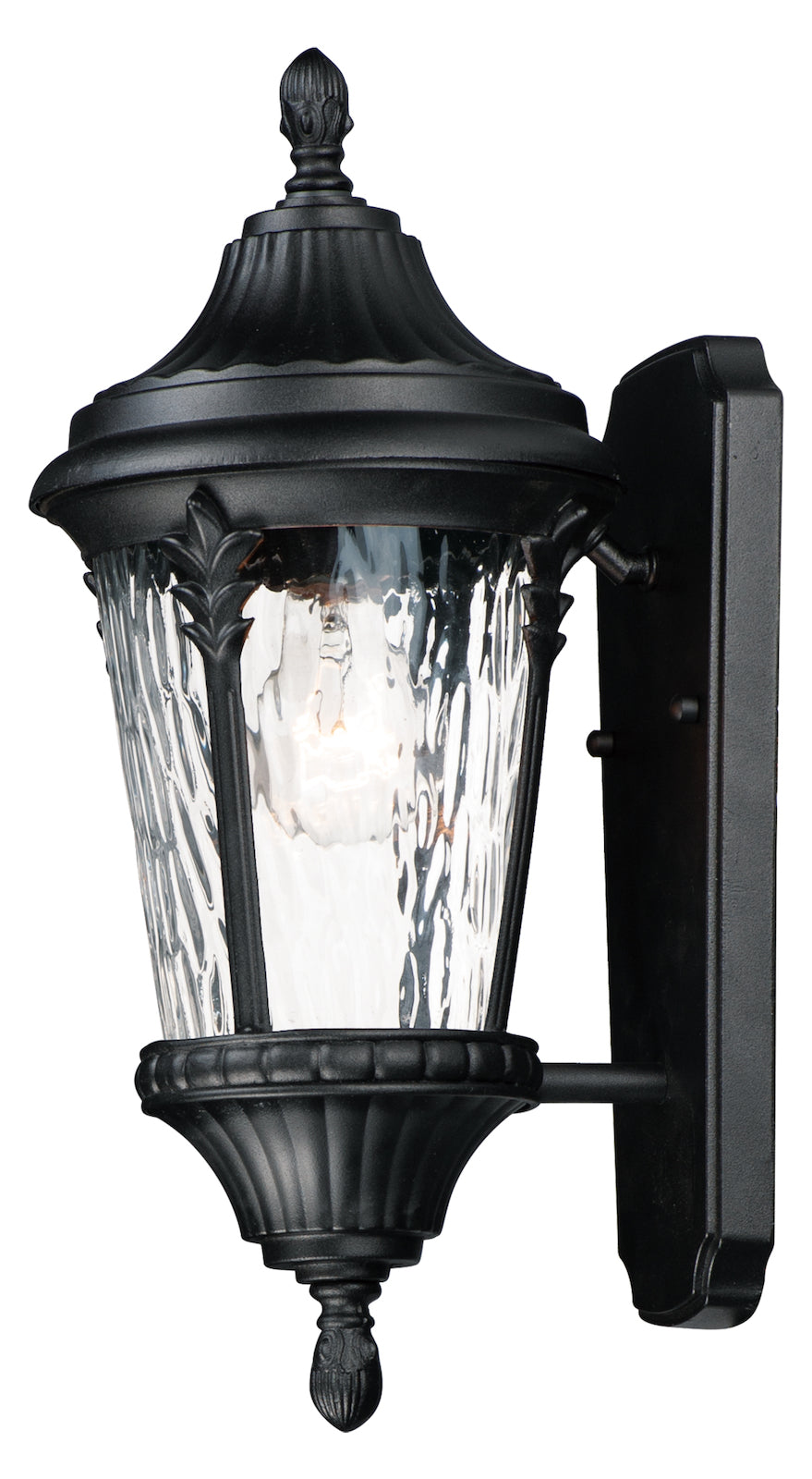 Sentry 1-Light Outdoor Wall Sconce by Maxim