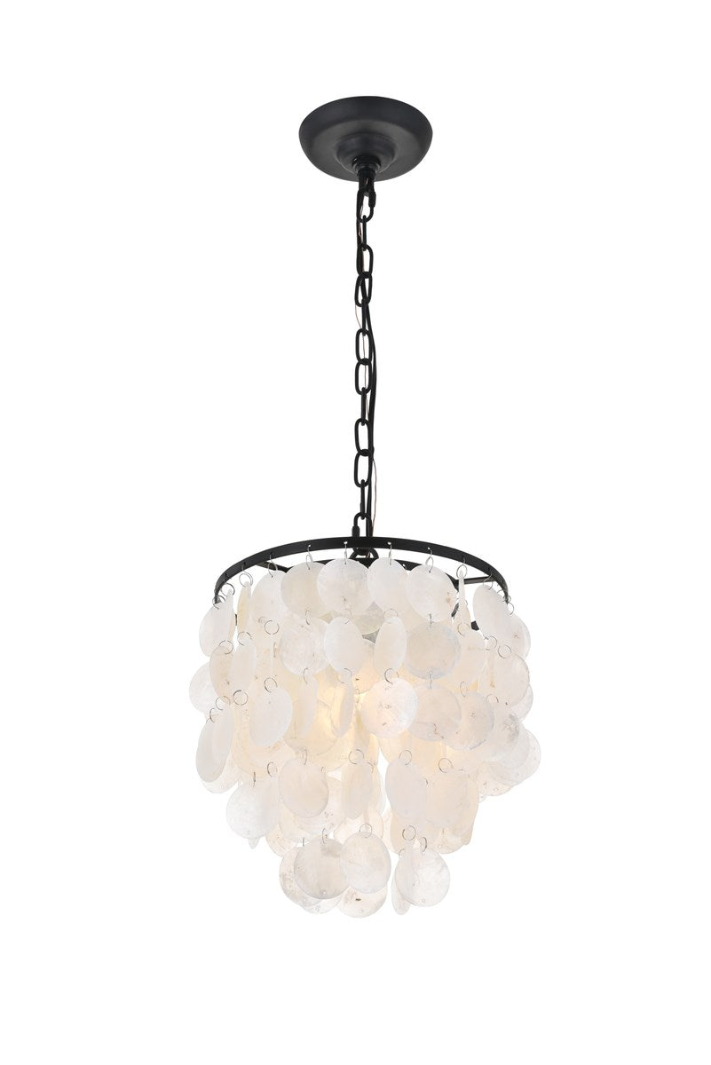 1 Light Black Pendant