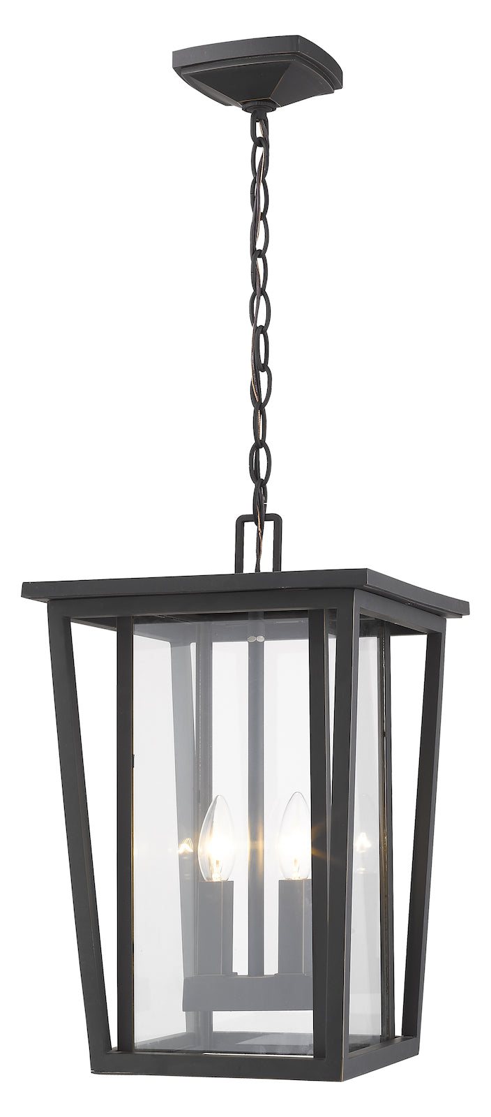 2 Light Outdoor Chain Mount Ceiling Fixture by Z-Lite