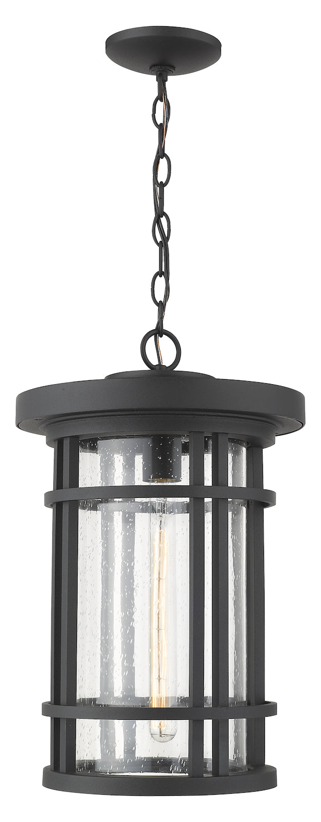 1 Light Outdoor Chain Mount Ceiling Fixture by Z-Lite