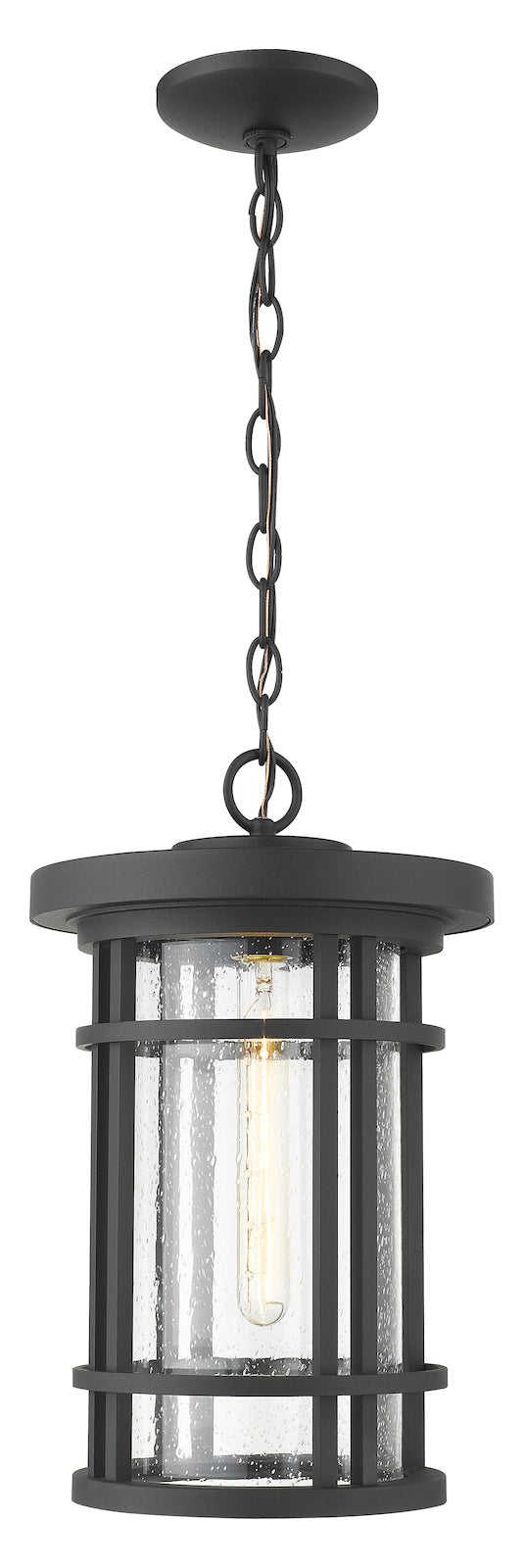 1 Light Outdoor Chain Mount Ceiling Fixture by Z-Lite