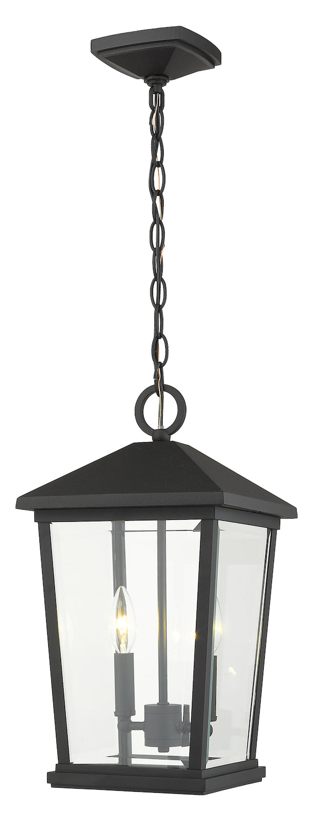2 Light Outdoor Chain Mount Ceiling Fixture by Z-Lite