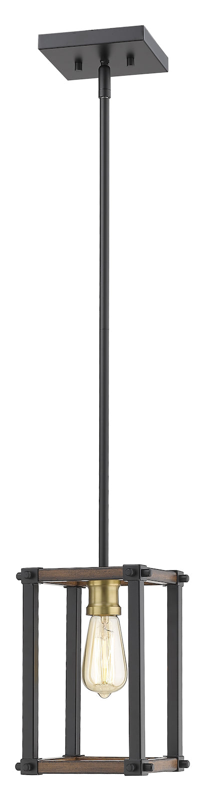 1 Light Mini Pendant by Z-Lite