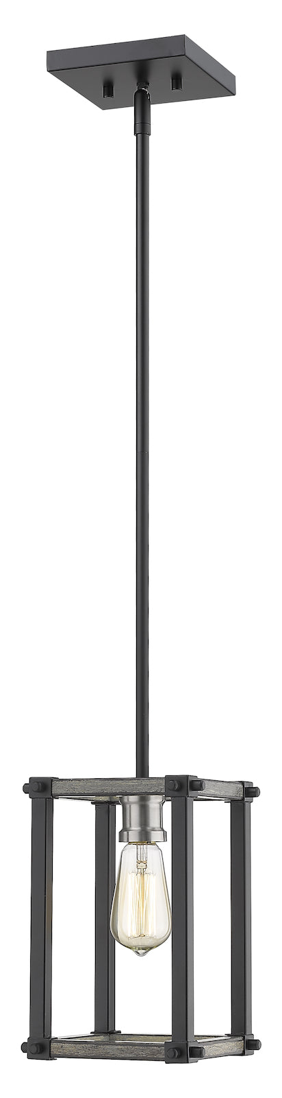 1 Light Mini Pendant by Z-Lite