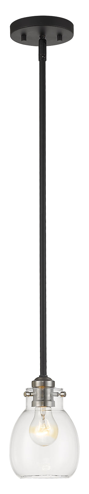 1 Light Mini Pendant by Z-Lite