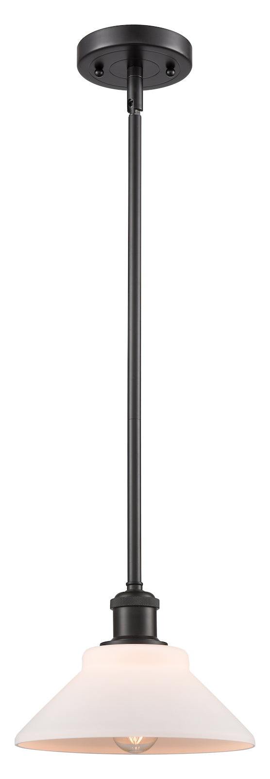1 Light Pendant by Innovations Lighting