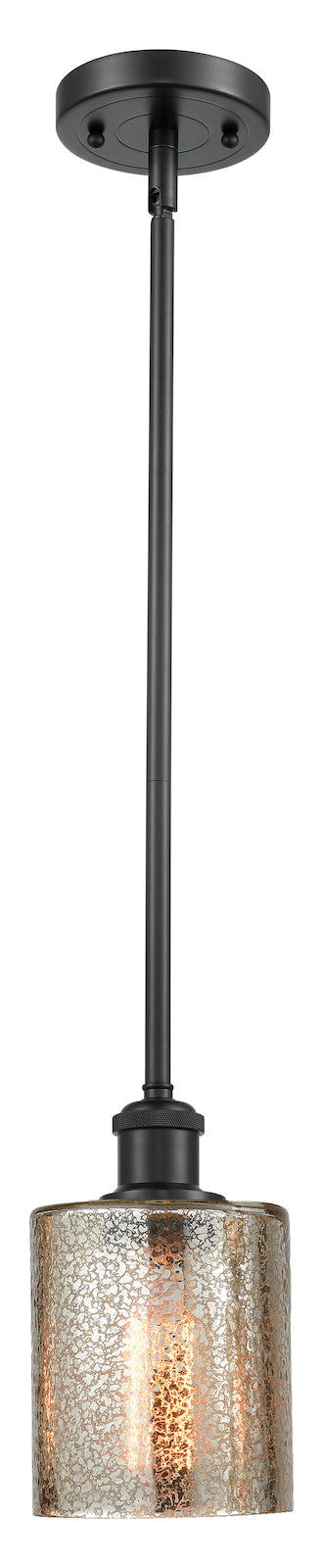 1 Light Pendant by Innovations Lighting