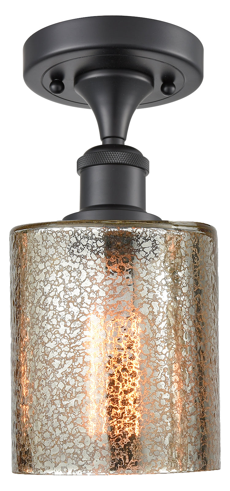 1 Light Vintage Dimmable Led Semi-Flush Mount by Innovations Lighting