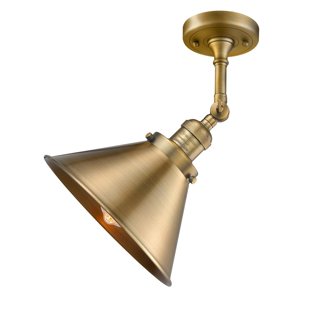 1 Light Semi-Flush Mount