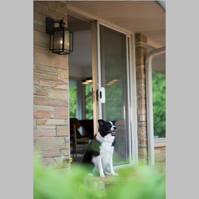 Hyde Motion Sensor Dusk to Dawn Outdoor Wall Light Espresso Bronze