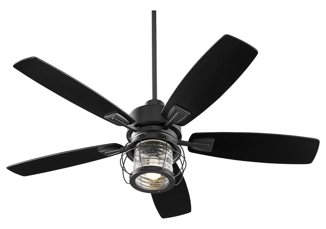 1 Light Noir Ceiling Fan