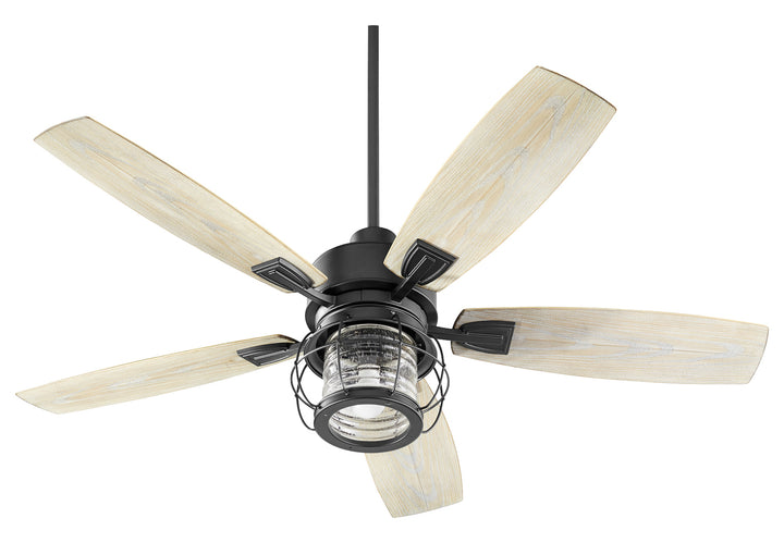 1 Light Noir Patio Fan by Quorum