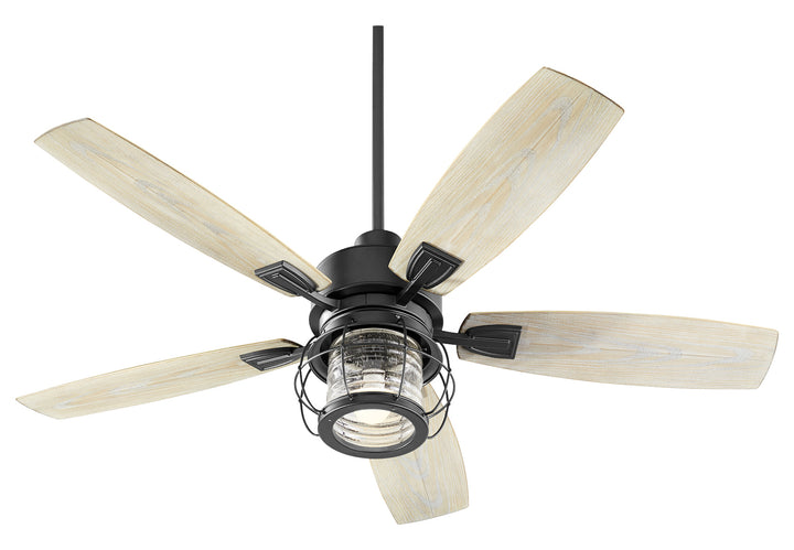1 Light Noir Patio Fan
