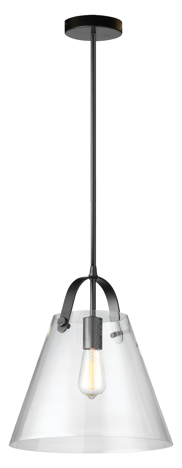 1Lt Incandescent Pendant Black W/ Clear Glass by Dainolite