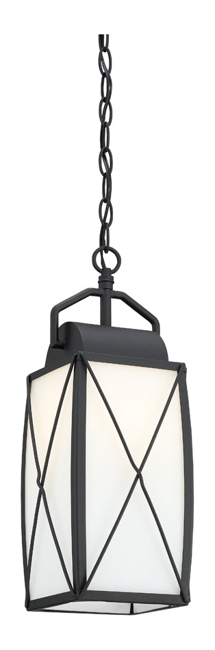 1 Light Outdoor Hanging Lantern