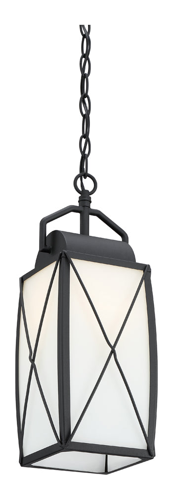 1 Light Outdoor Hanging Lantern