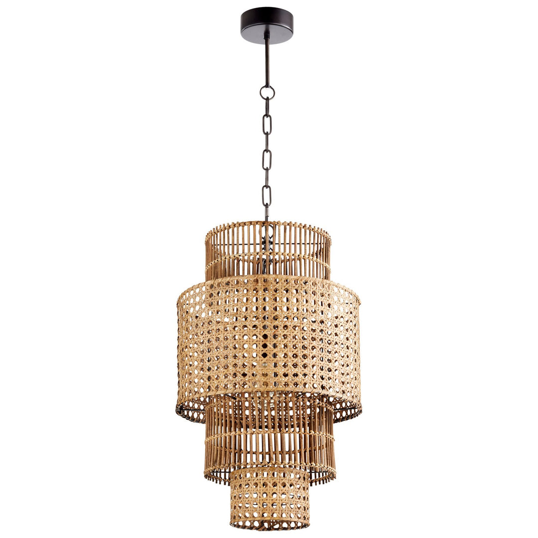 Wickham Pendant by Cyan Designs