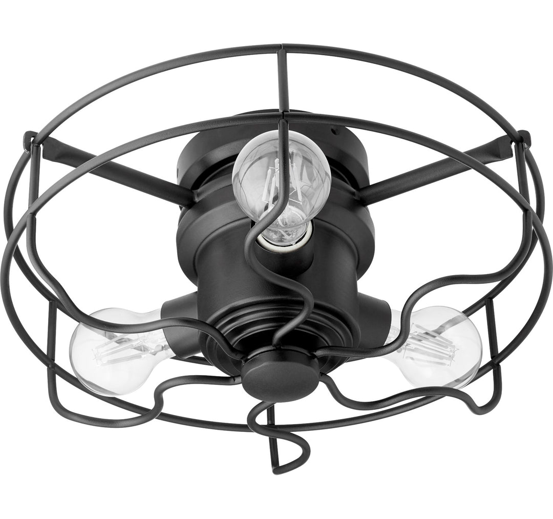 3Lt Cage Kit -Nr by Quorum